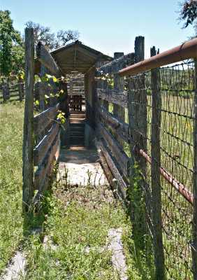 Entrance to cattle dipping vat