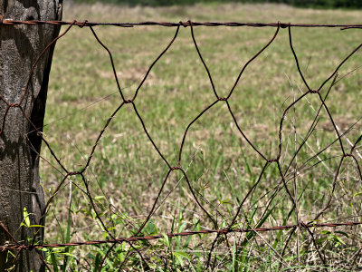 Homemade fence wire, probably made made on location with the Kitselman fence machine.
