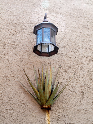  Veranda lamp and yucca