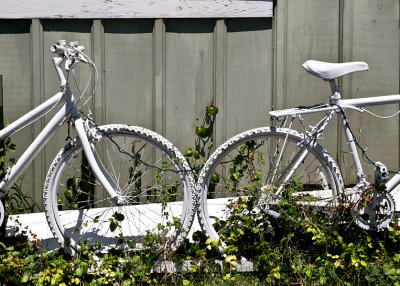 White bikes
