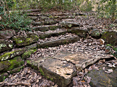 Steps leading to foot bridge on hiking trail #2.