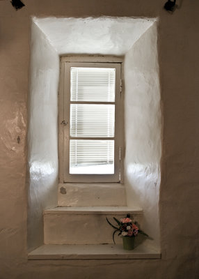 Dinning room window #1