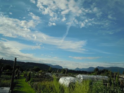 g9/72/574472/3/151098445.FHLeCN8i.jpg