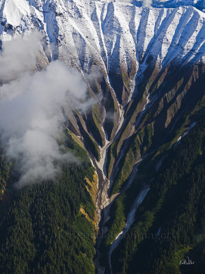 Coastal Range 212 - 36x48.jpg