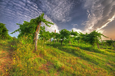 13-08-06-0761_2_3_tonemapped.jpg