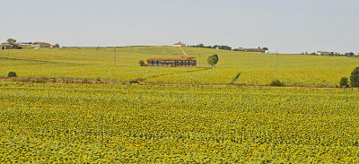 13-07-26-3788a.jpg