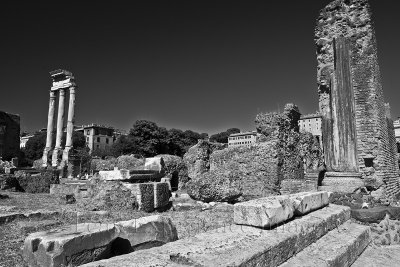 The Colosseum and Forum Area