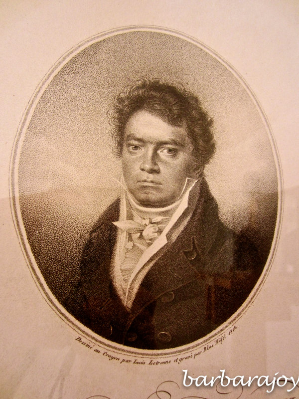 Ludwig Van Beethoven portrait,  Pasqualati House,  Beethoven's house