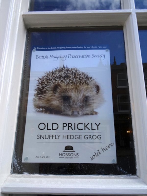 Only in England, Save the Hedgehog