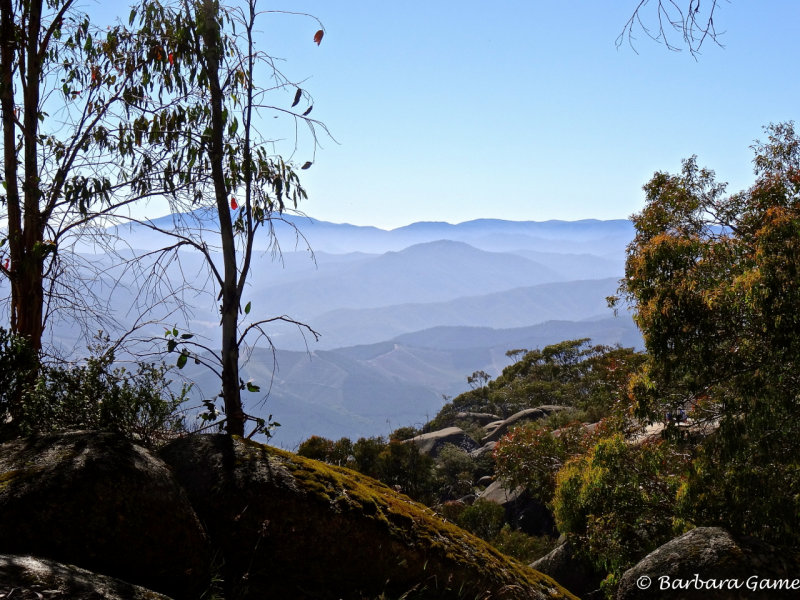 Happy New Year! The Australian Alps viewed from the Gorge area of Mt Buffalo NP
