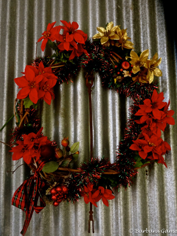Aussie Christmas wreath on galvanised iron wall