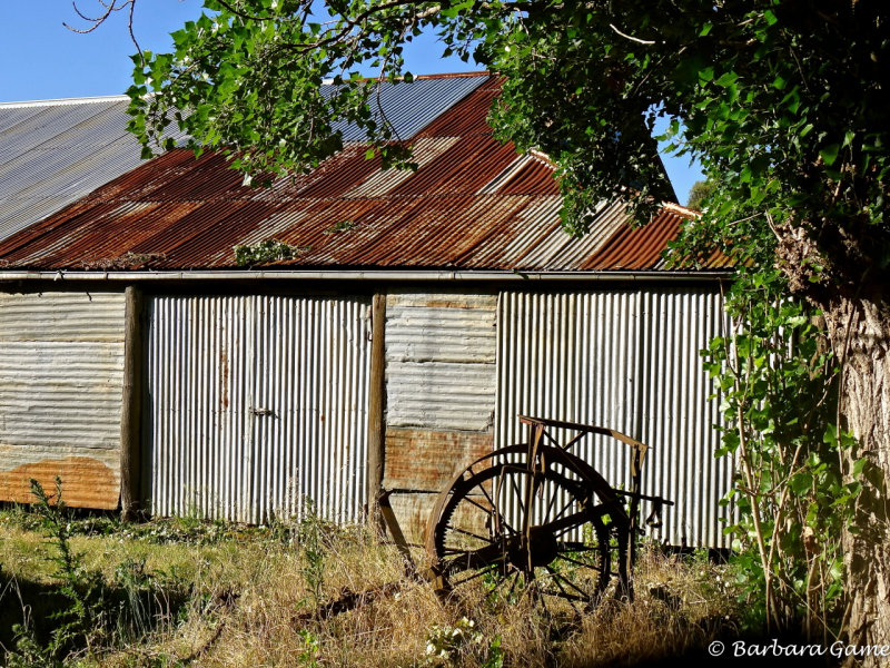 Quietly growing old. Tin sheds and long forgotten farming equipment.