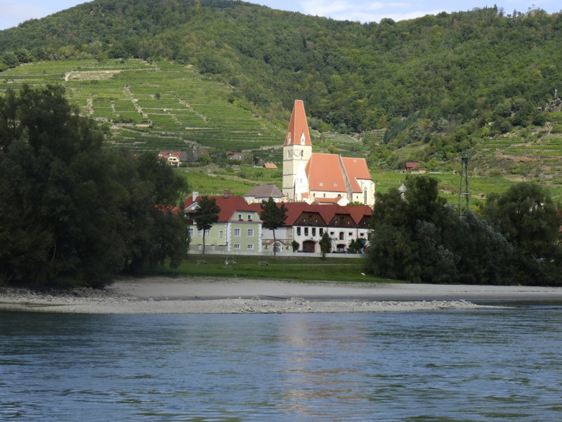 Vine terraces and the church in Weissenkirchen