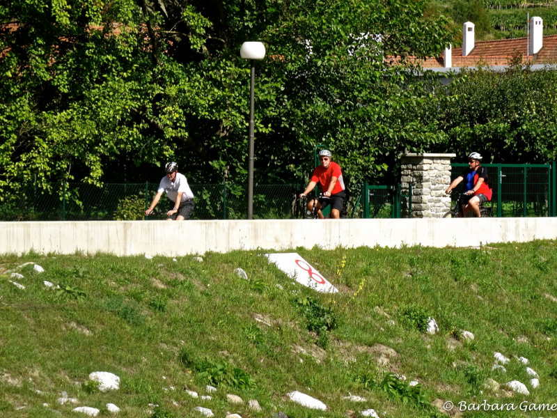 Cyclists along the river