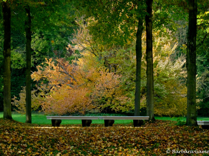 Sanssouci Park in autumn splendour