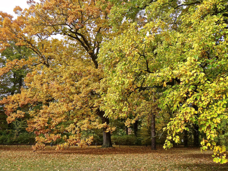 Autumn colours at Schloss Cecilienhof