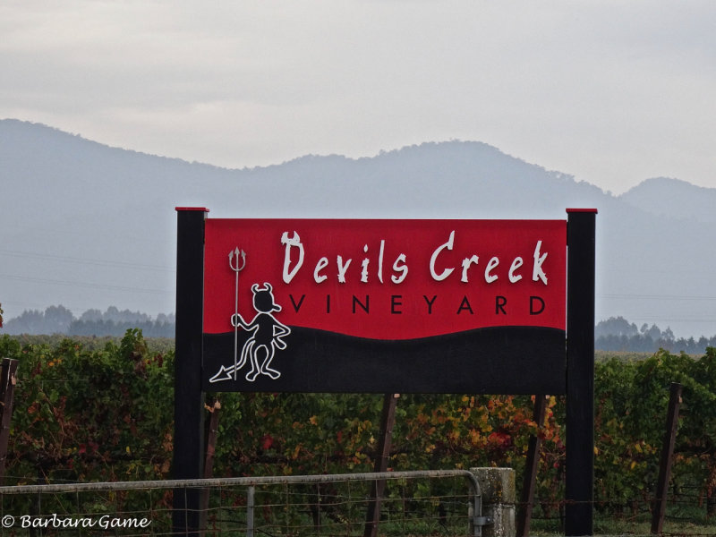 Winery in the Buckland Valley