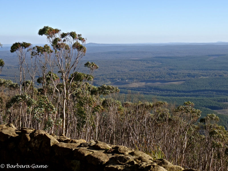 View from Mount Macedon