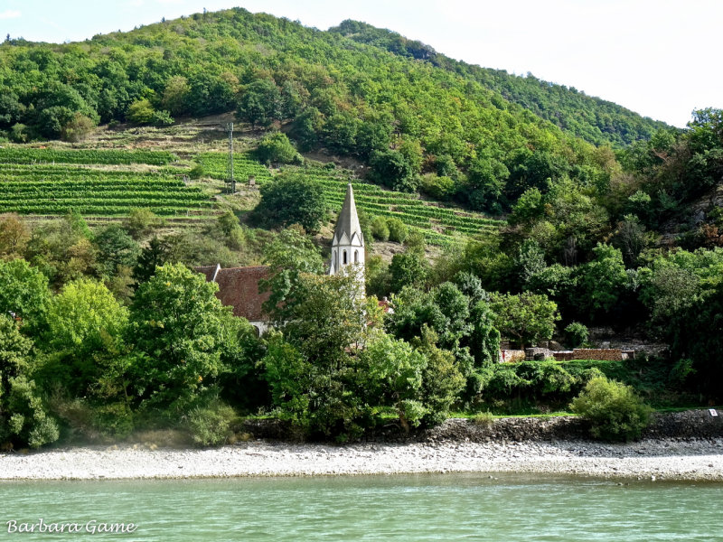 Vine terraces