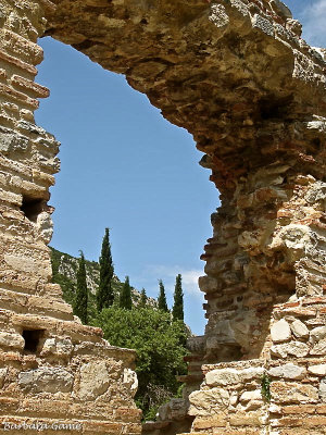 Ephesus pines