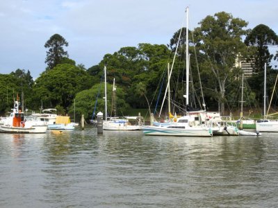 Up the Brisbane River