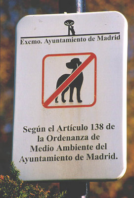 Madrid, Spain {PG}