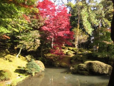 Japanese Garden, Japan