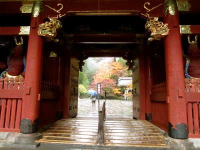 Gate to Shrine, Nikko