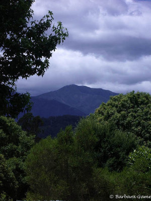 Mt Bogong view.
