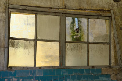LEO: once-great Penicillin plant (2014)
