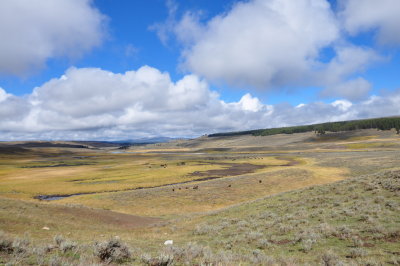 Hayden Valley skyline