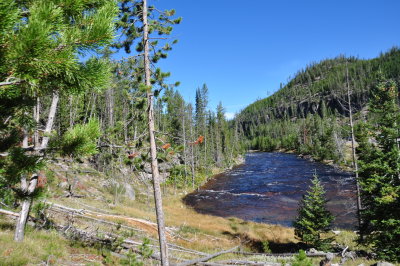 The Gibbon River at Yellowstone