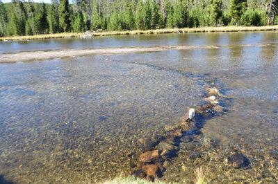A fish weir along the river