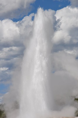 Old Faithful