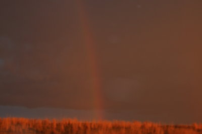 Rainbow - Red Hills, Kansas