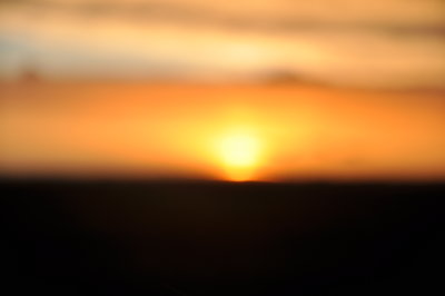Sunrise at a Lesser Prairie-Chicken lek