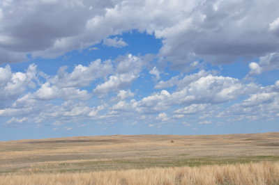 Sandhills April 2016 018.JPG