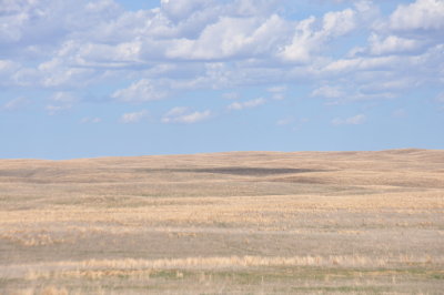 Sandhills April 2016 022.JPG
