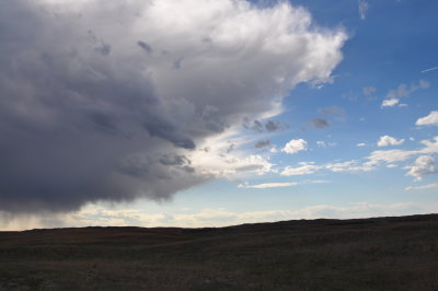 Sandhills April 2016 045.JPG