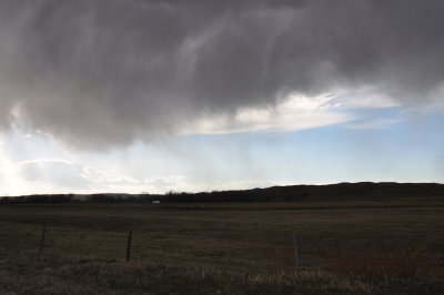 Sandhills April 2016 054.JPG