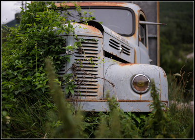 Camion