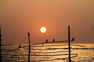 bandra-seaface_DSF2863.jpg