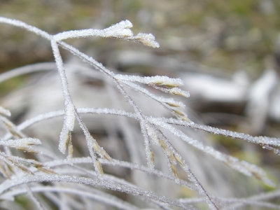 Givre, Massif-du-Sud