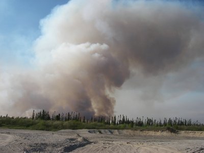 Feu de forêt, Baie-James