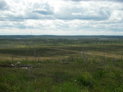 Tourbière, Baie-James