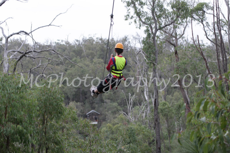 Flying Fox (101).jpg