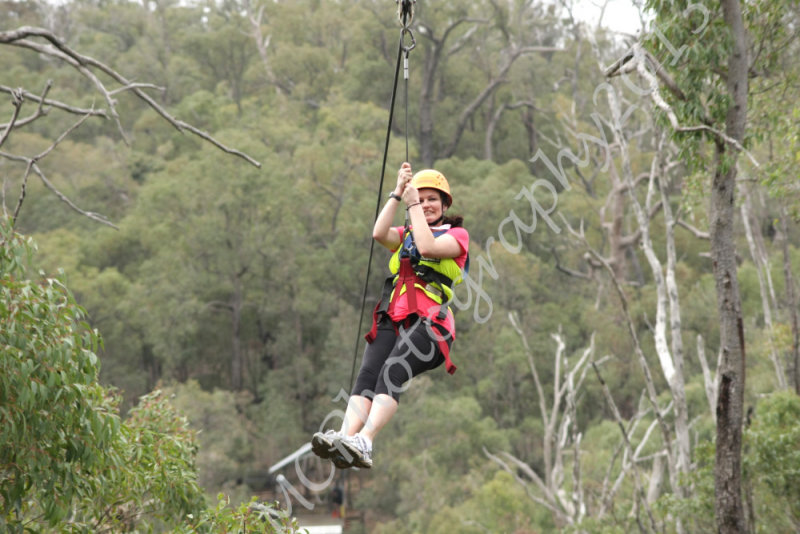 Flying Fox (103).jpg
