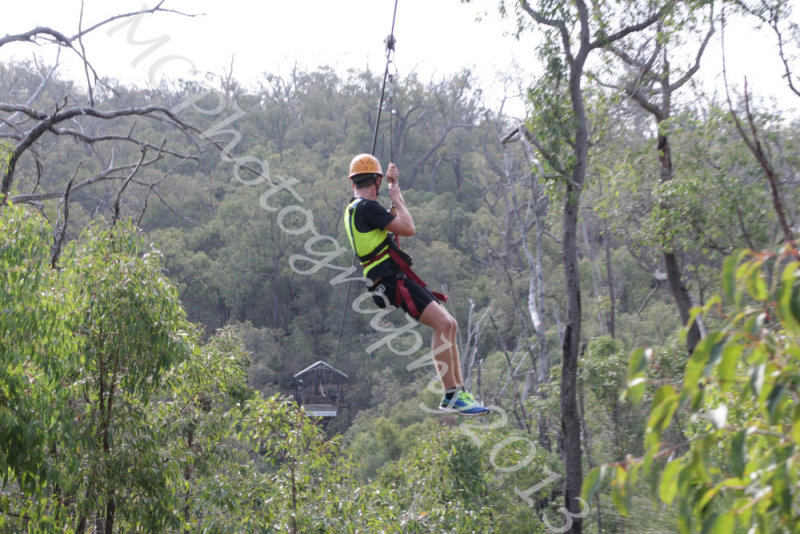 Flying Fox (126).jpg