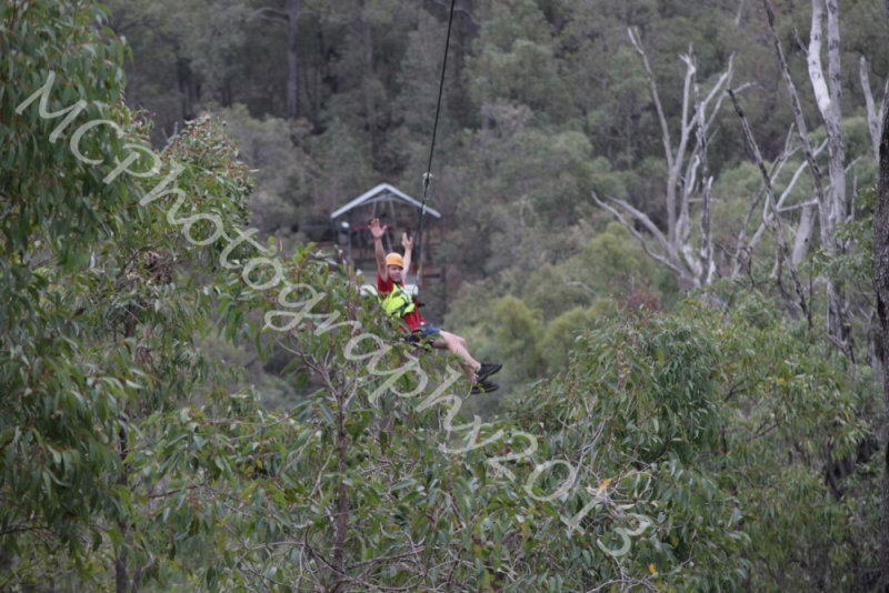 Flying Fox (22).jpg