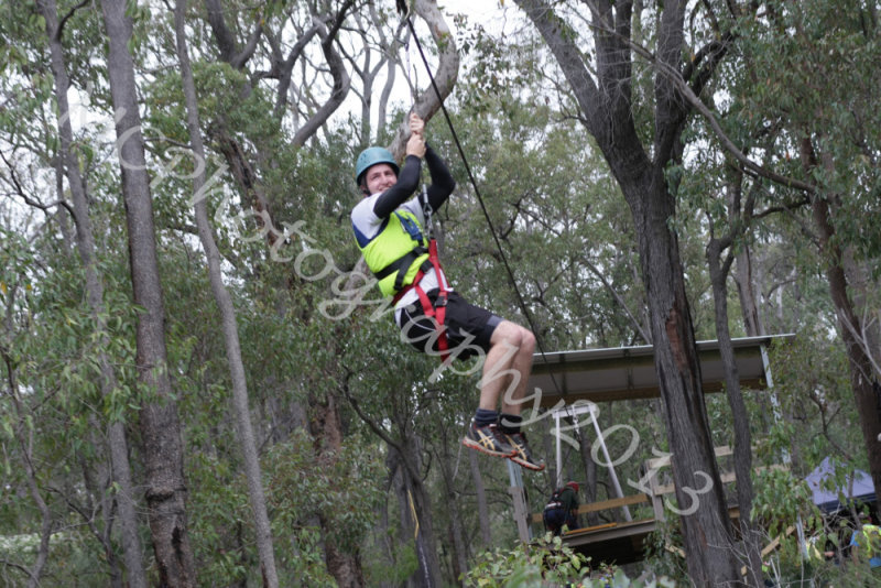 Flying Fox (27).jpg